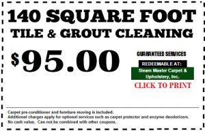 Carpet Cleaning Deals