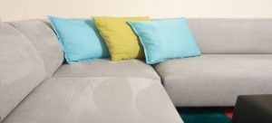 Upholstery Cleaners in Asheville